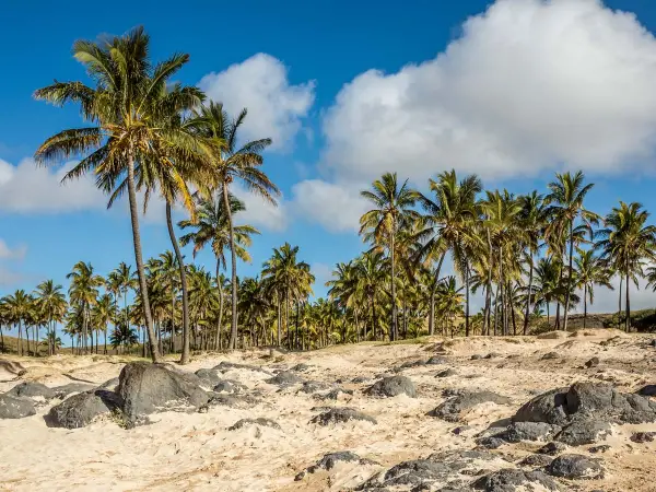 Easter Island — Sandy Beach