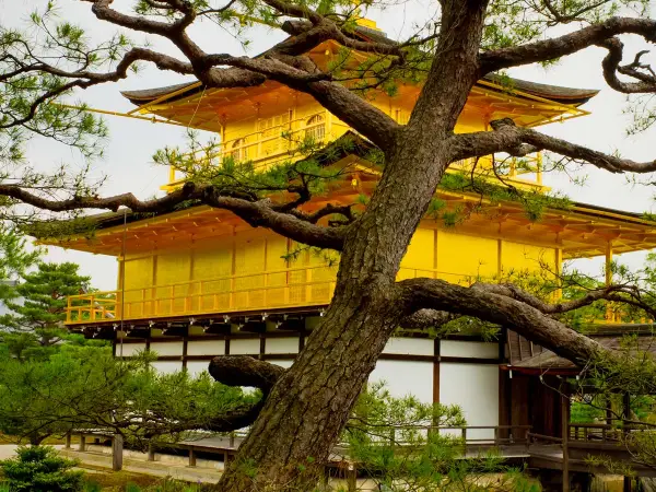 Kinkaku-ji Golden Pavilion Temple, Kyoto