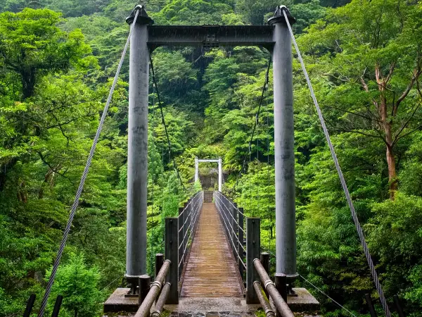 Satsuki Suspension Bridge, Yakushima