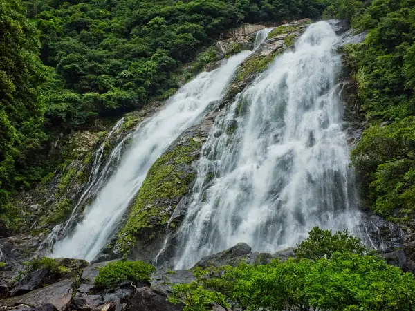 Ōko Waterfall, Yakushima