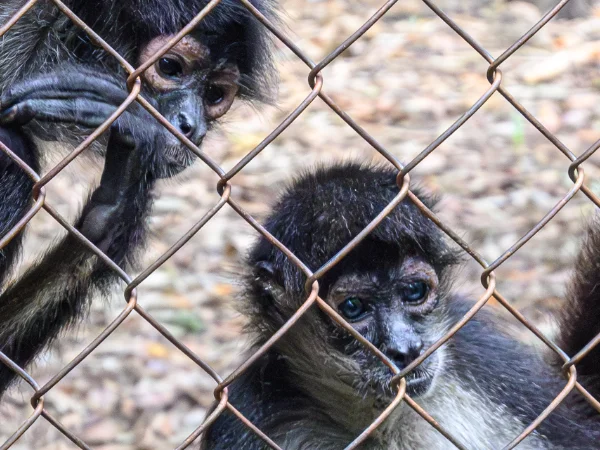 Museo Choco-Story Uxmal
