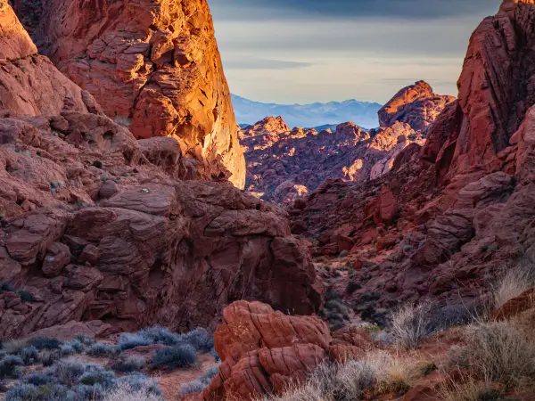 United States — Vof Landscape